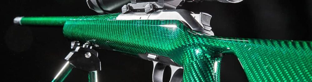 FBT Weapons Upgrade Blaser