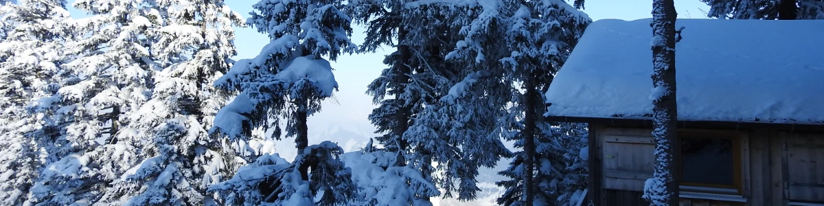 Jagdhütte Winter